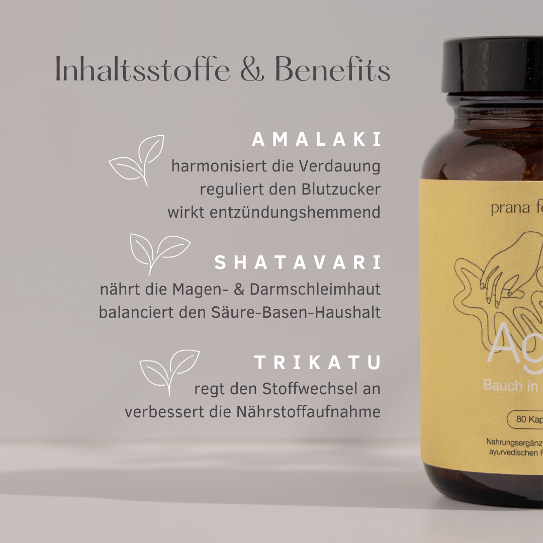 AGNI Nahrungsergänzung für eine harmonische Verdauung