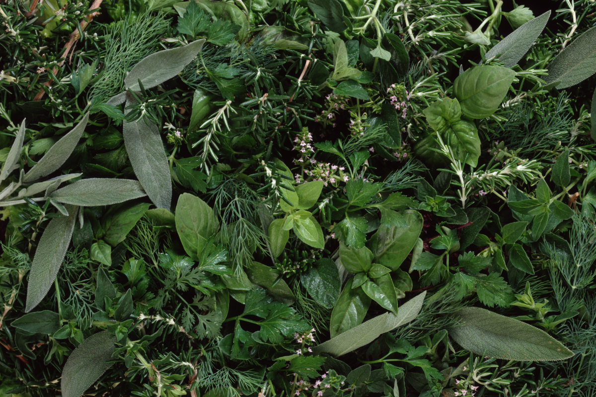 Wirken heimische Pflanzen ayurvedisch?