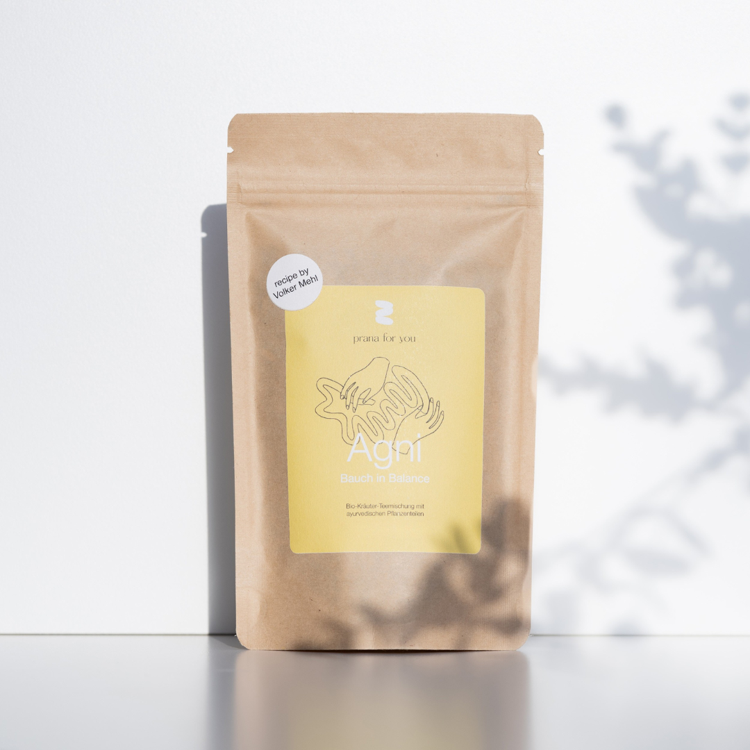 AGNI Ayurvedischer Bio-Gewürztee für die Verdauung