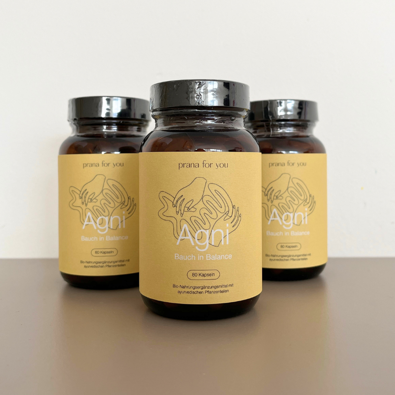 Agni-Nahrungsergaenzungsmittel-Ayurveda-Kur.png