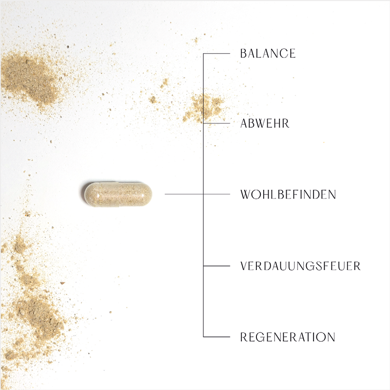 Balyam-Nahrungsergaenzungsmittel-Ayurveda-Abwehr-Immunsystem.png