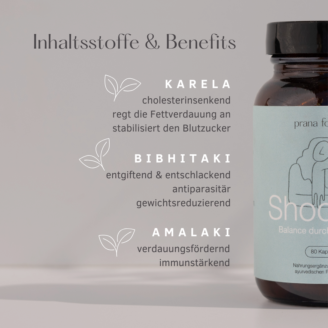 BIO Shodana - Nahrungsergänzung Detox