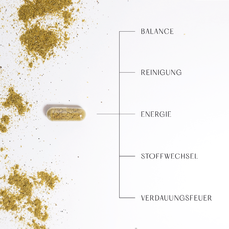 Shodana-Nahrungsergaenzungsmittel-Ayurveda-Verdauung-Stoffwechsel-Detox-Energie.png