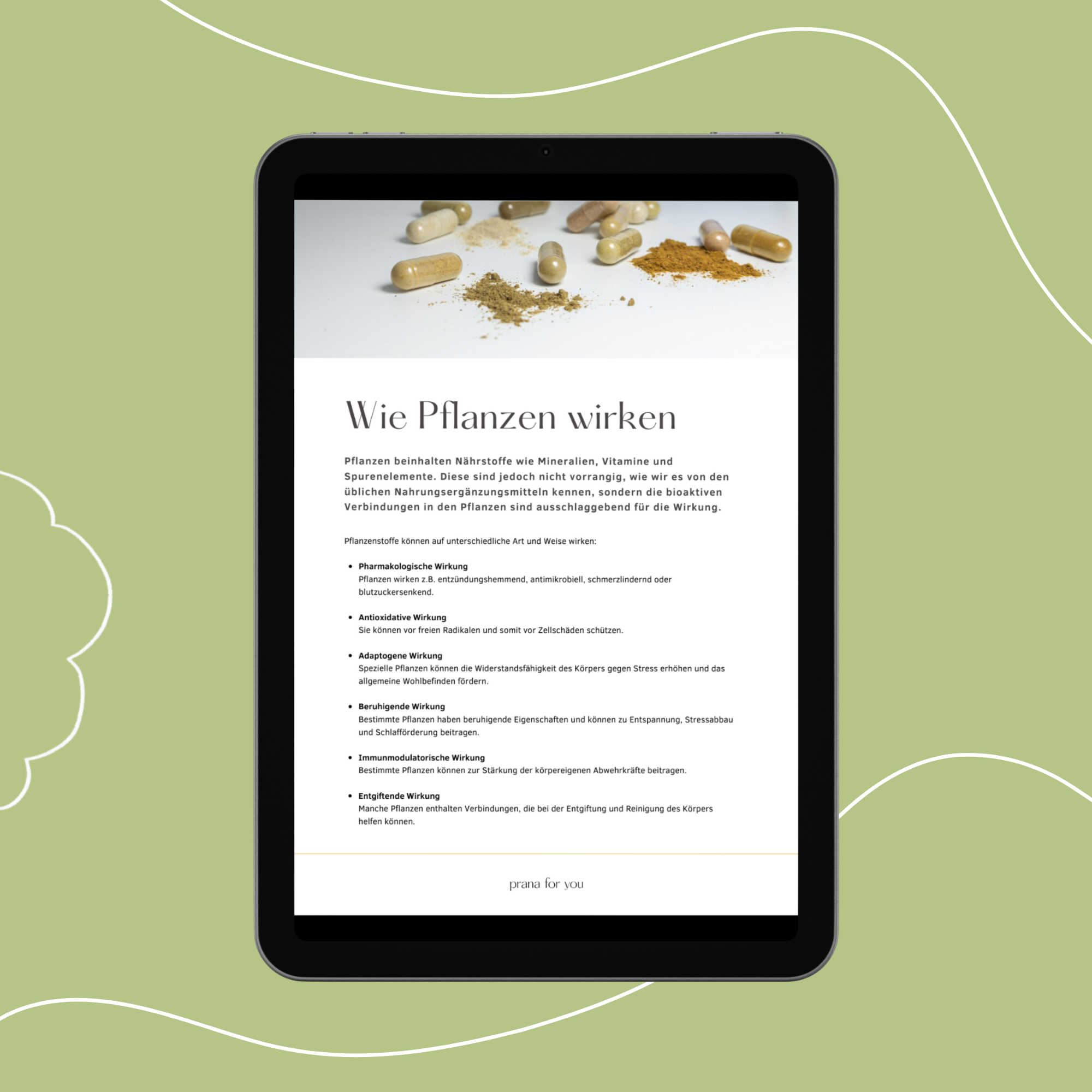 Freebie – Das Wirkspektrum ayurvedischer Heilpflanzen